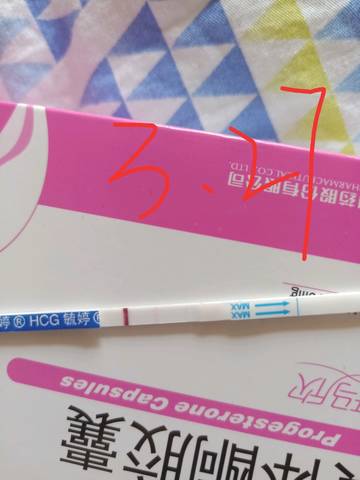 journal_insert_pic_1205359424