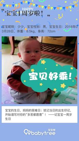 journal_insert_pic_1206334928