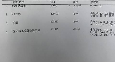 journal_insert_pic_1206300297