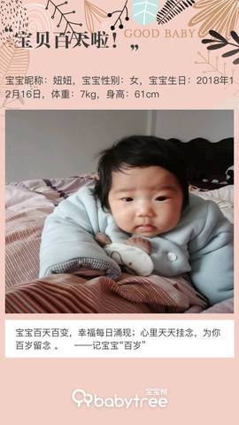 journal_insert_pic_1206852209