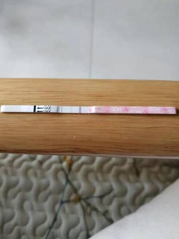 journal_insert_pic_1206742444