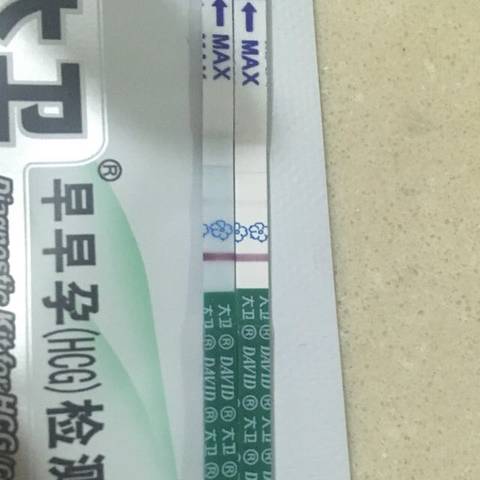 journal_insert_pic_1206455297