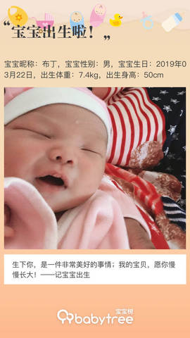 journal_insert_pic_1207397745