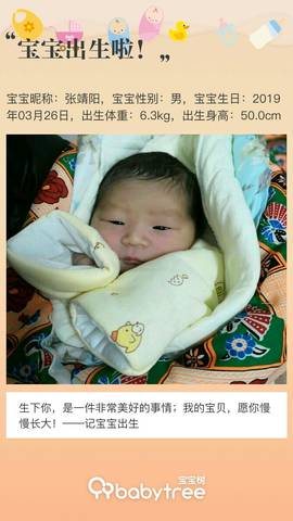 journal_insert_pic_1207095285