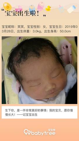 journal_insert_pic_1207226235