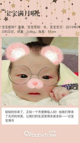 journal_insert_pic_1207575554
