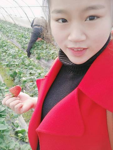 journal_insert_pic_1207793311