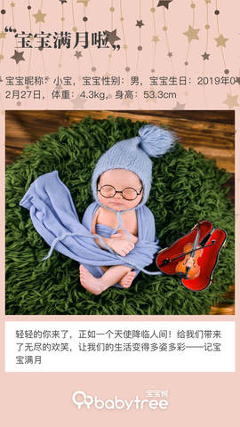journal_insert_pic_1208545937