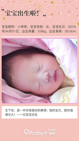 journal_insert_pic_1208490043