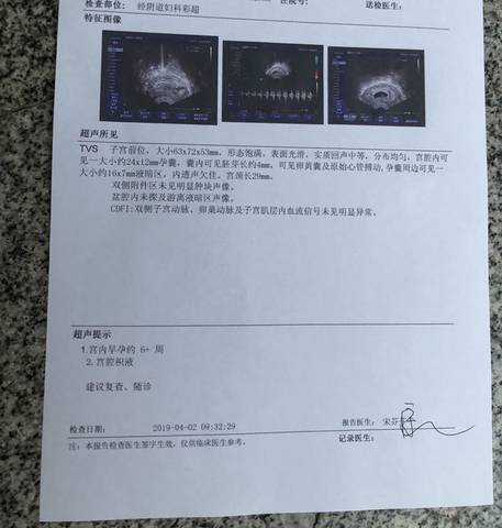 journal_insert_pic_1208802394