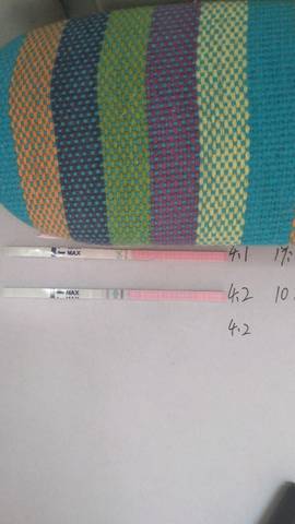 journal_insert_pic_1208816275