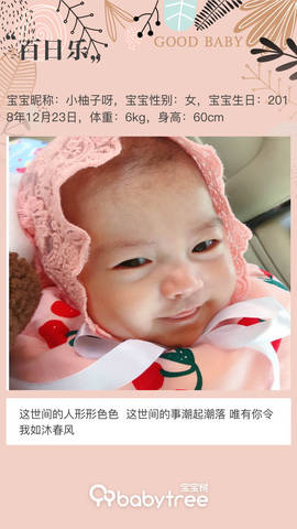 journal_insert_pic_1209051131