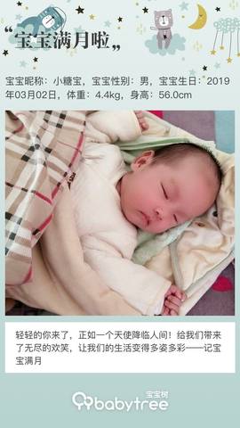 journal_insert_pic_1209396222