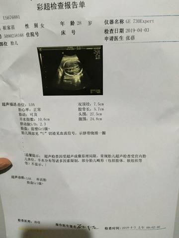 journal_insert_pic_1209582571