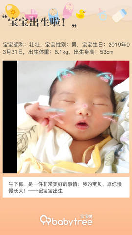 journal_insert_pic_1209733856