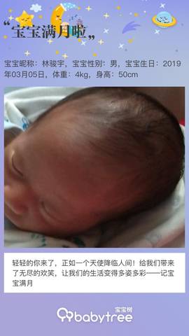 journal_insert_pic_1209437412