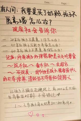 journal_insert_pic_1210545380