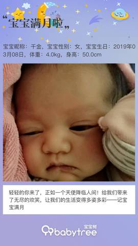 journal_insert_pic_1211550402