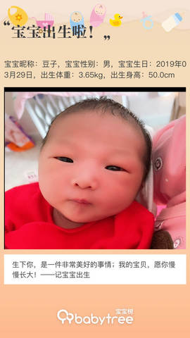 journal_insert_pic_1211334024