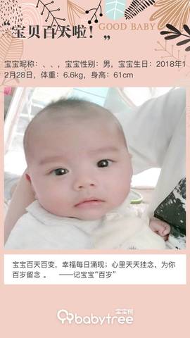 journal_insert_pic_1211590482
