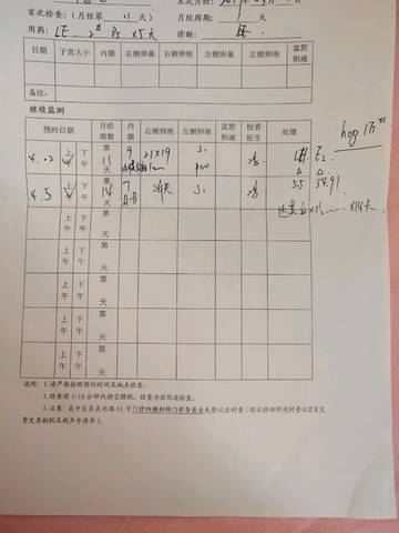 journal_insert_pic_1211755651
