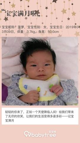 journal_insert_pic_1212255144