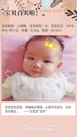 journal_insert_pic_1212745397