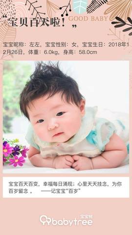 journal_insert_pic_1212652410