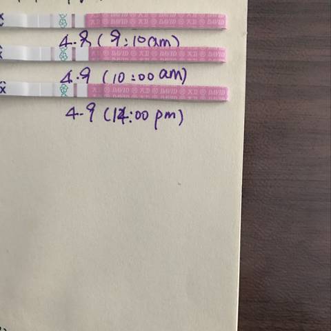 journal_insert_pic_1213396962