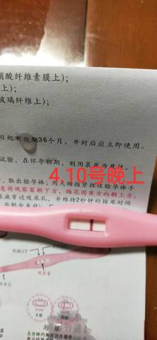 journal_insert_pic_1213775535