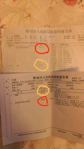 journal_insert_pic_1214243167