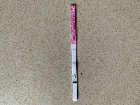journal_insert_pic_1214653825