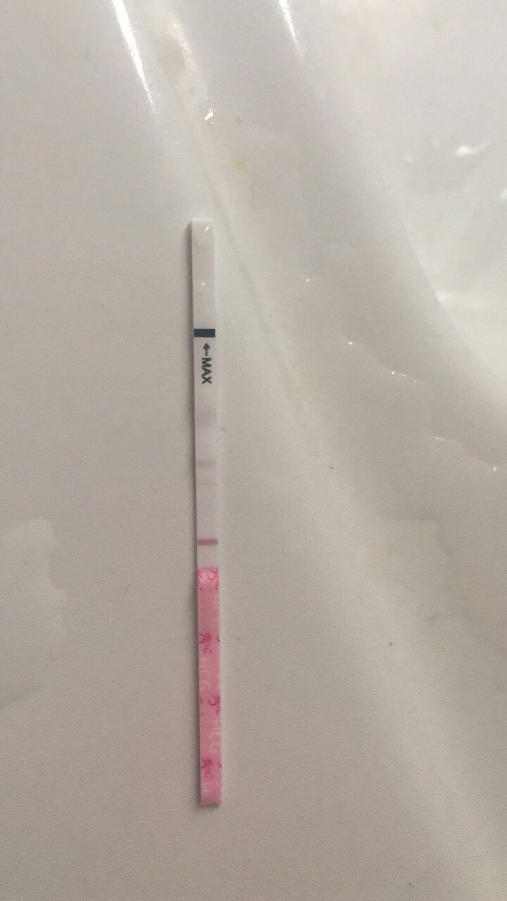 我是5号排卵，