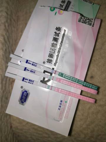 journal_insert_pic_1214808968