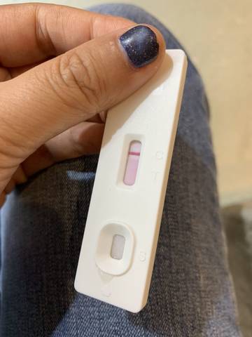 journal_insert_pic_1215222747