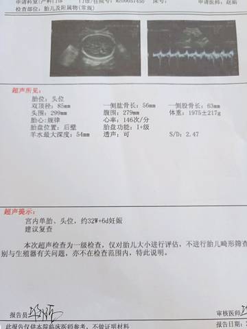 journal_insert_pic_1215110513