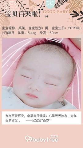 journal_insert_pic_1215541008