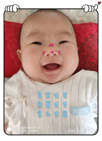 journal_insert_pic_1217246850