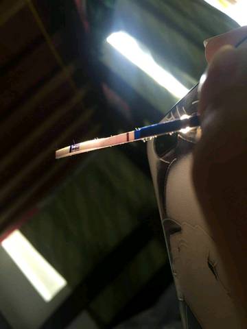 journal_insert_pic_1216994002