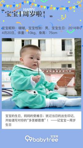 journal_insert_pic_1217487355