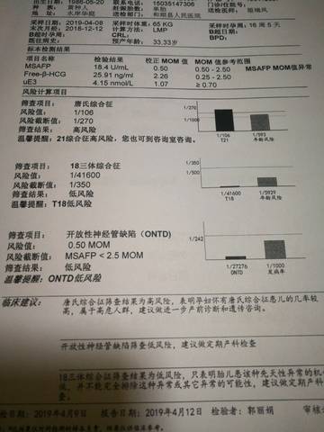 journal_insert_pic_1218427214