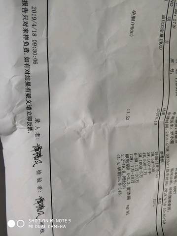 journal_insert_pic_1218910452