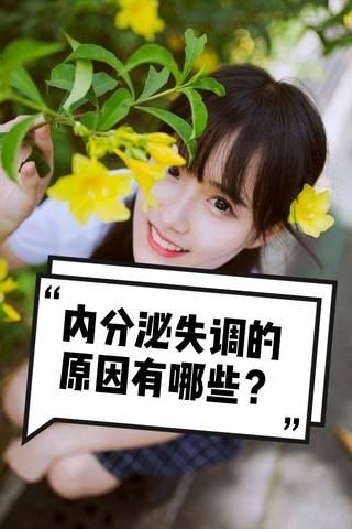 journal_insert_pic_1219006276