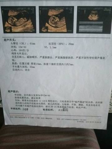 journal_insert_pic_1219108828