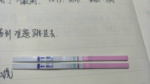 journal_insert_pic_1218879290