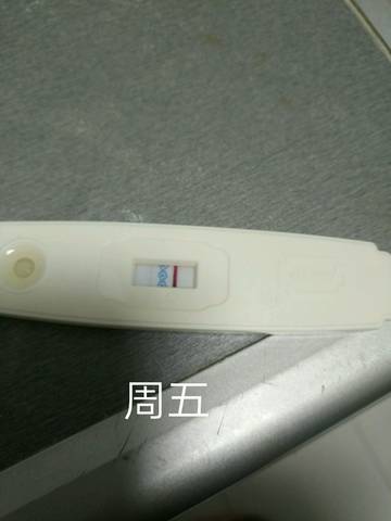 journal_insert_pic_1219368105