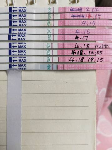 journal_insert_pic_1219386145