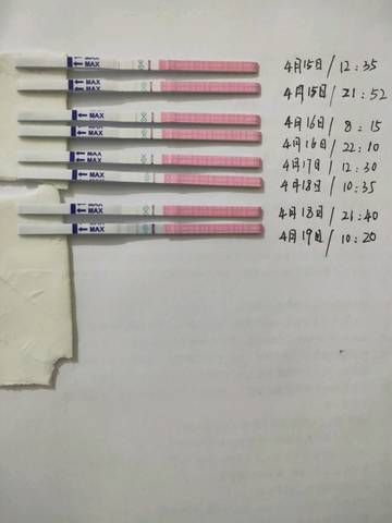 journal_insert_pic_1219478772