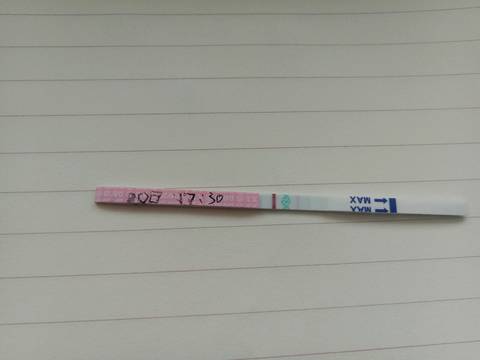 journal_insert_pic_1220263426