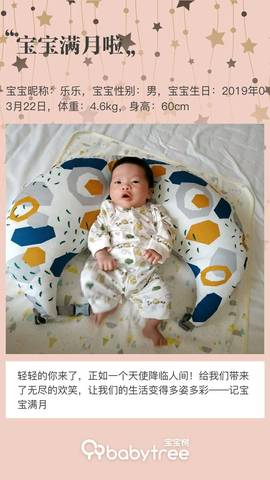 journal_insert_pic_1220221363